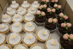 D-64